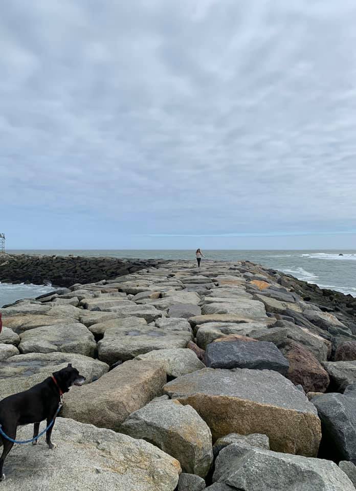 92434312_10216512670108584_6350027409613389824_n