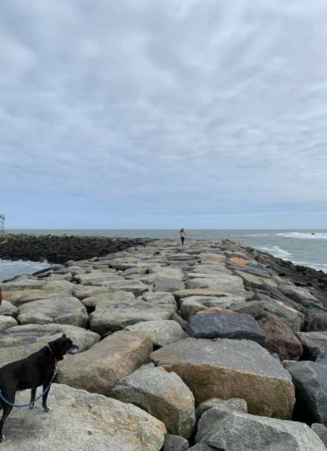 92434312_10216512670108584_6350027409613389824_n